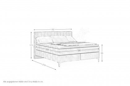 Serie 200 von f.a.n. Frankenstolz - Boxspringbett KT213 silber