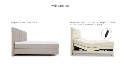 Alarik von Skandinavische Möbel - Boxspringbett beige