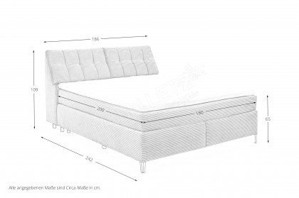 Fairfield von set one by Musterring - Boxspringbett 180 KT3 dove