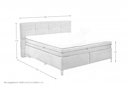 Fairfield von set one by Musterring - Boxspringbett 180 KT1 ash