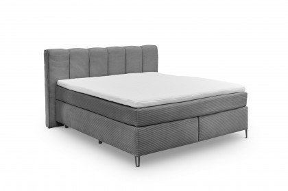 Fairfield von set one by Musterring - Boxspringbett 180 KT2 ash