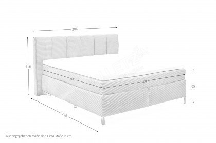 Fairfield von set one by Musterring - Boxspringbett 180 KT2 cream