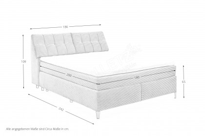 Fairfield von set one by Musterring - Boxspringbett 180 KT3 ash