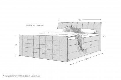 Florida von set one by Musterring - Boxspringbett KT2 grau