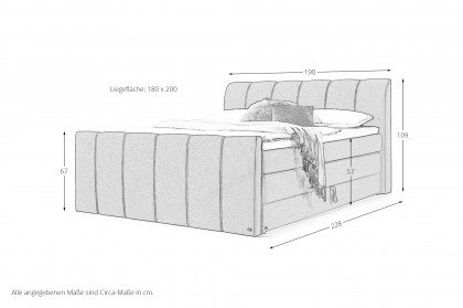 Florida von set one by Musterring - Boxspringbett KT3 hellbraun