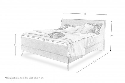 Balino von Musterring - Boxspringbett slate