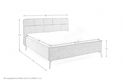 Delano von Musterring - Polsterbett KT1 grau