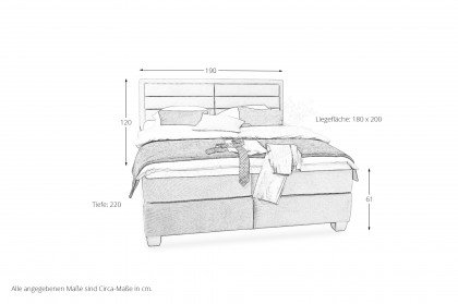 Felina BASIC von Musterring - Boxspringbett KT2 grau