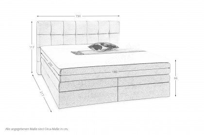 Amy-Dream von Jockenhöfer - Boxspringbett 180 in Grau