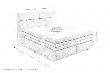 Queen von Jockenhöfer - Boxspringbett hellgrün mit Bettkasten