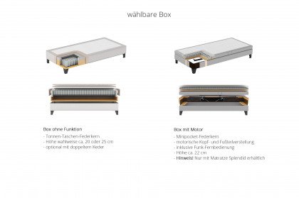 Tube von Serta - Boxspringbett beige mit hohem Kopfteil