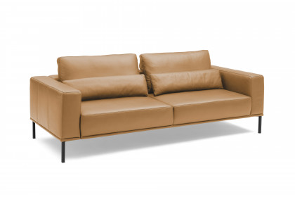 PM100 von Musterring - Ledersofa honey