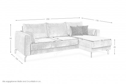 Florida von Nehl - Schlafsofa mit Longchair silber