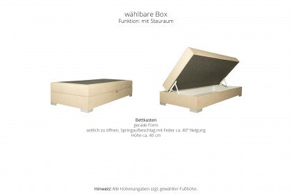 Systembett von Abrilux - Boxspringbett Paris 120 cream