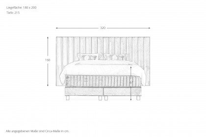 Tube Grande von Serta - Boxspringbett in Gold Plain