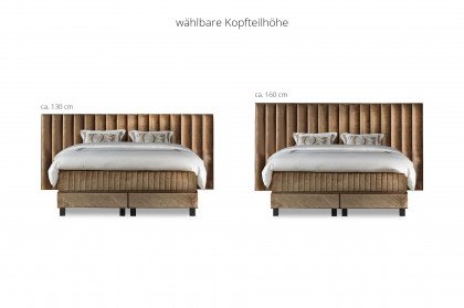 Tube Grande von Serta - Boxspringbett in Gold Plain
