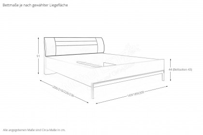 San Diego von Musterring - Bett 160x200 cm weiß mit Polsterkopfteil