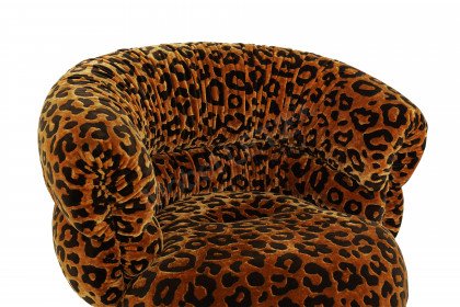 Balaao von Bretz - Sessel wildcat