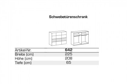 Dubai von Wimex - Kleiderschrank grafitgrau/ goldfarbig, Breite 225