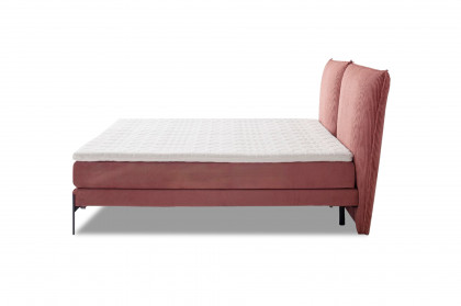 Vita von SCHÖNER WOHNEN - Boxspringbett 180 altrosa