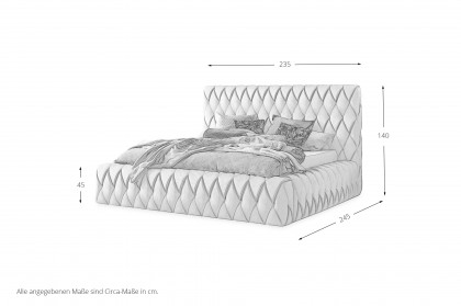 Arian Deluxe von DONE.® - Polsterbett in Silver