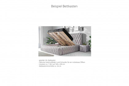 Arian Deluxe von DONE.® - Polsterbett in Silver