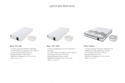 Arian Deluxe von DONE.® - Polsterbett in Silver