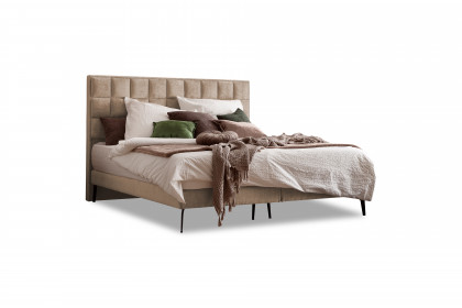 Frame-Dream von DONE.® - Boxspringbett taupe