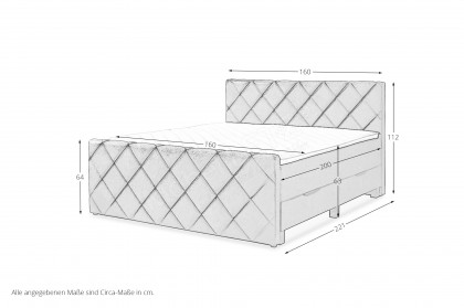 Chester-BX2200 von Sun Garden - Boxspringbett 160 lichtgrau