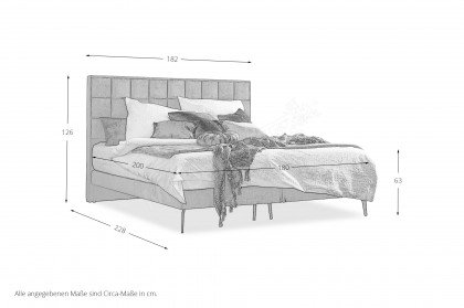 Frame-Dream von DONE.® - Boxspringbett anthracite