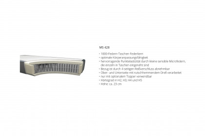 OC-BX23165 von Oschmann - Boxspringbett KT 10002B steel