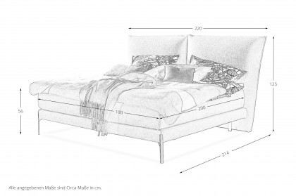 Vita von SCHÖNER WOHNEN - Boxspringbett 180 dunkelbeige