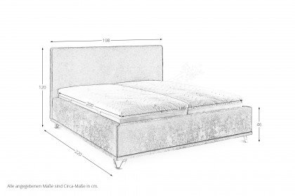 Stamford von set one by Musterring - Polsterbett KT2 anthrazit