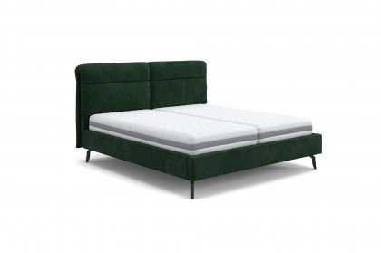 Brindisi I von COTTA - Polsterbett dark-green