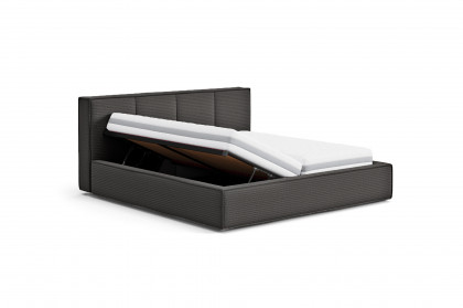 Milano II von COTTA - Polsterbett graphite