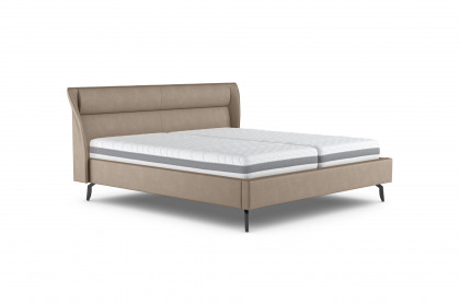 Verona I von COTTA - Polsterbett dark-beige