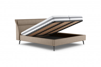 Verona I von COTTA - Polsterbett dark-beige