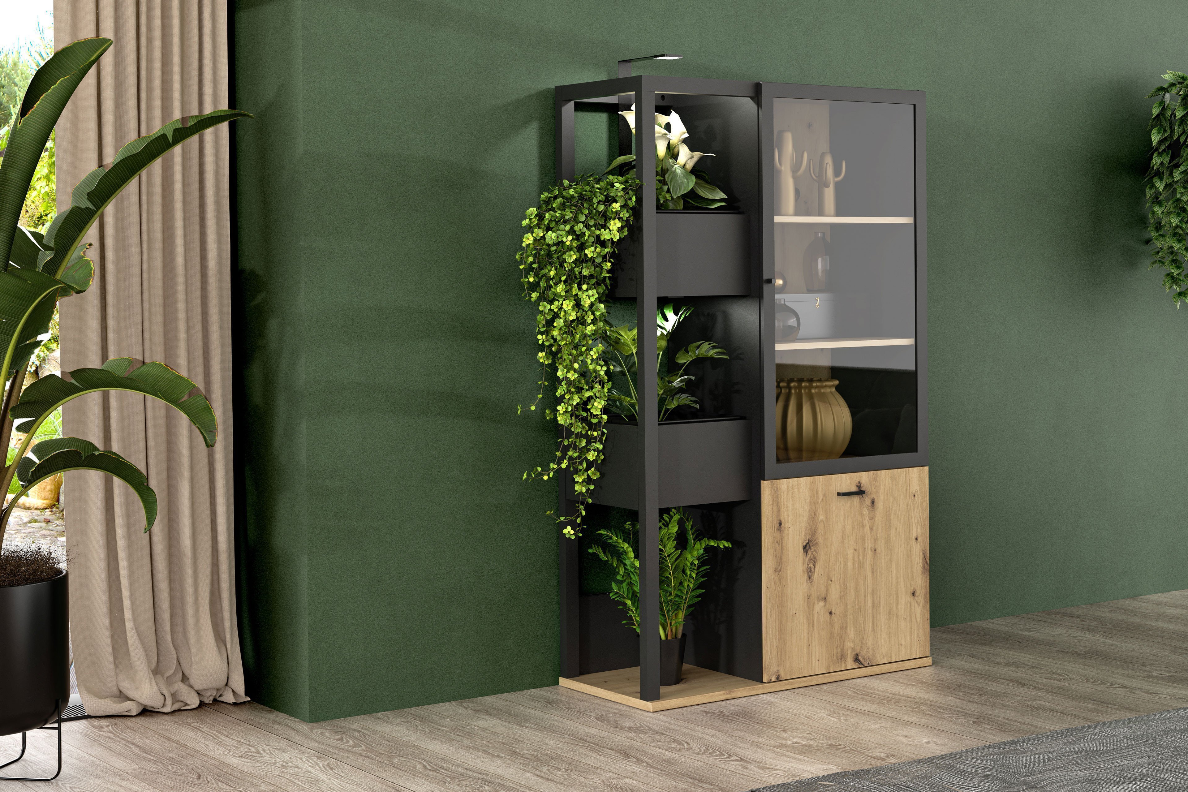 Möbel Online-Shop Möbel | Highboard-Vitrine Letz - Forte Polypody Artisan Oak/ schwarz Ihr